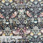 カラーバリエーション カラーバリエーション