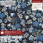 カラーバリエーション カラーバリエーション