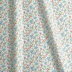 ���̑��̉摜