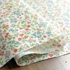 ���̑��̉摜