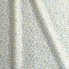 ���̑��̉摜