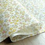 ���̑��̉摜