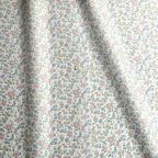 ���̑��̉摜