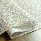 ���̑��̉摜