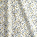 ���̑��̉摜