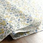 ���̑��̉摜