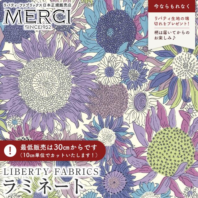 ���̑��̉摜