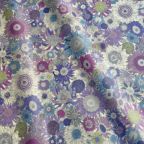 ���̑��̉摜