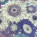 ���̑��̉摜