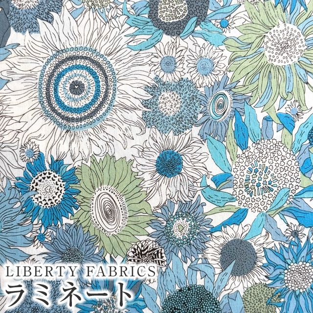 �J���[�o���G�[�V����