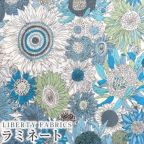 �J���[�o���G�[�V����