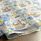 ���̑��̉摜