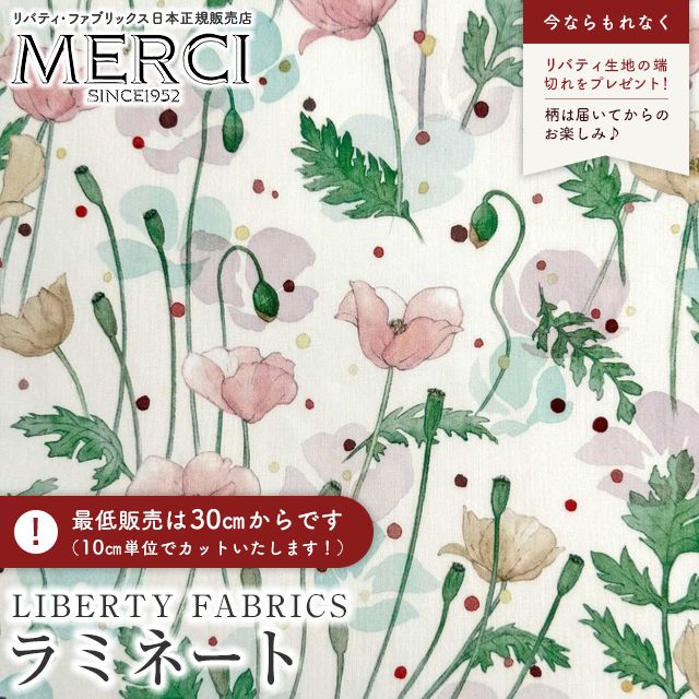 ̑̉摜