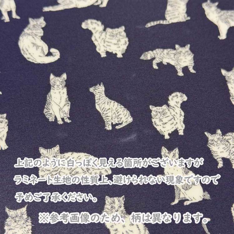 LIBERTY FABRICS リバティプリント イタリア製つや消しラミネート