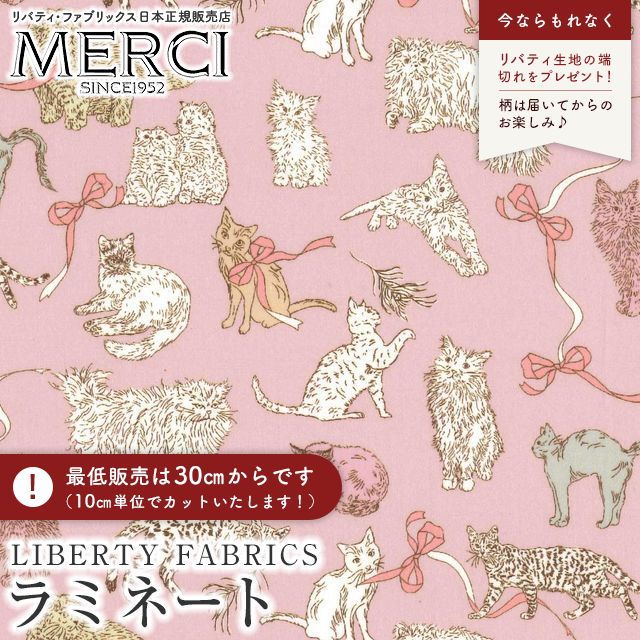 ���̑��̉摜