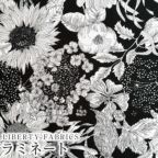 カラーバリエーション カラーバリエーション