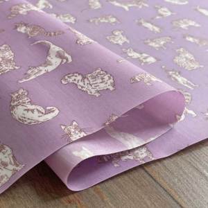 LIBERTY FABRICS リバティプリント 国産つや消しラミネート(ビニール