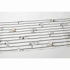 ���̑��̉摜