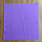 ���̑��̉摜