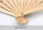 ���̑��̉摜