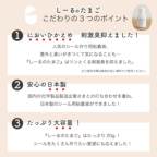 ���̑��̉摜