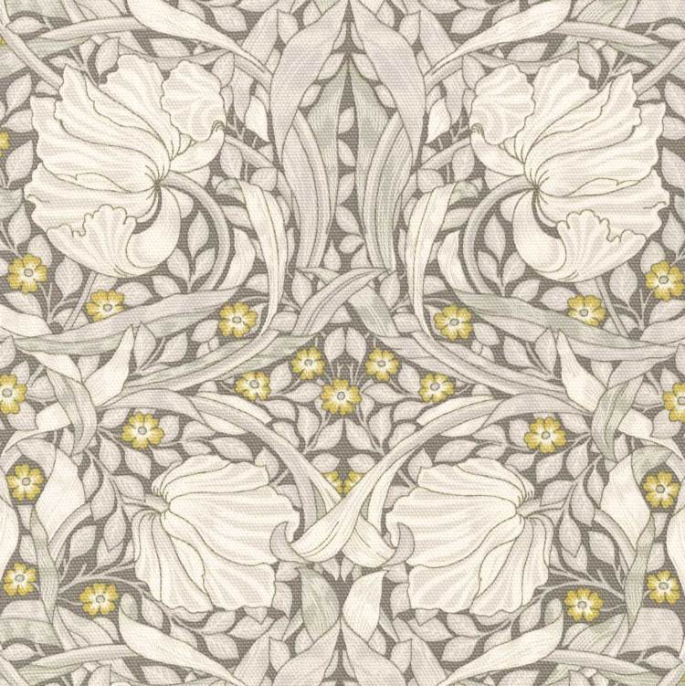 ���̑��̉摜