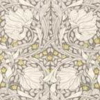 ���̑��̉摜