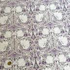 ���̑��̉摜