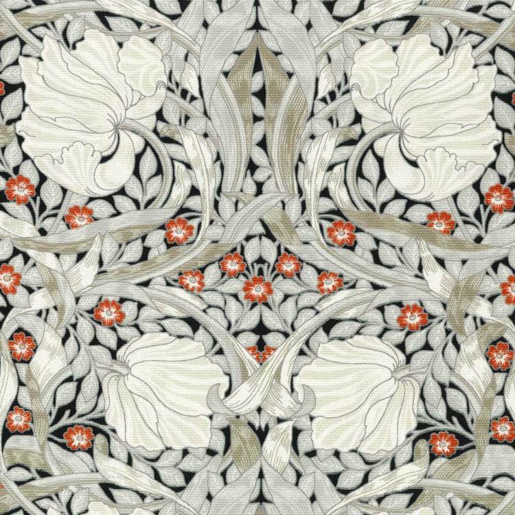 ���̑��̉摜