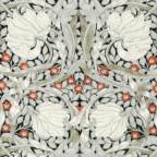 ���̑��̉摜