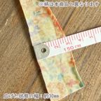 ���̑��̉摜